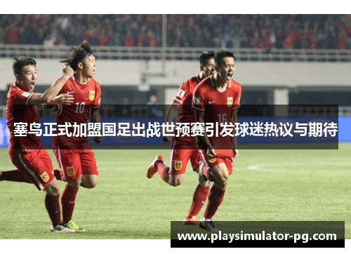 塞鸟正式加盟国足出战世预赛引发球迷热议与期待